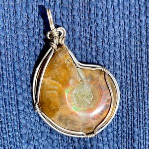 Wire wrapped ammonite pendant